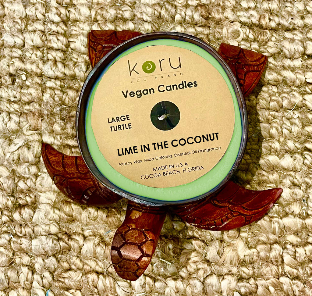 Large Coconut Handcarved Turtle Candle: Lime in the Coconut